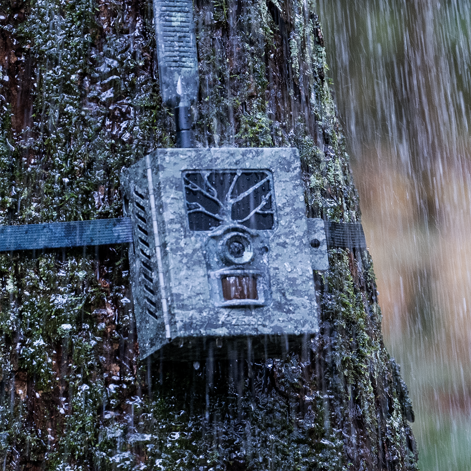 ZEISS Secacam 1 Boîtier de Protection en Métal