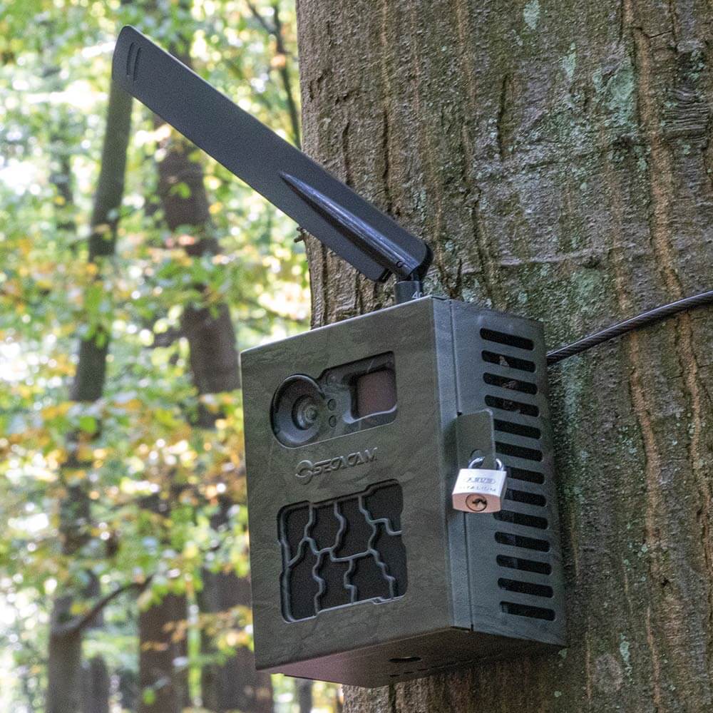 SECACAM Boîtier Métallique Pro Plus