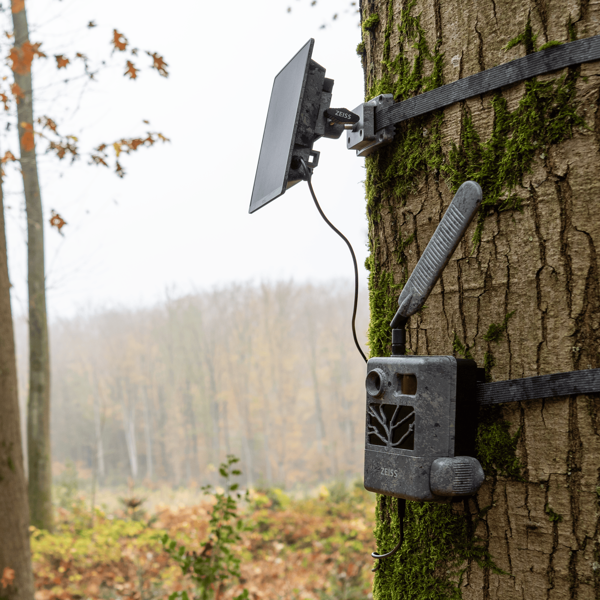 ZEISS Solar-Panel Mini