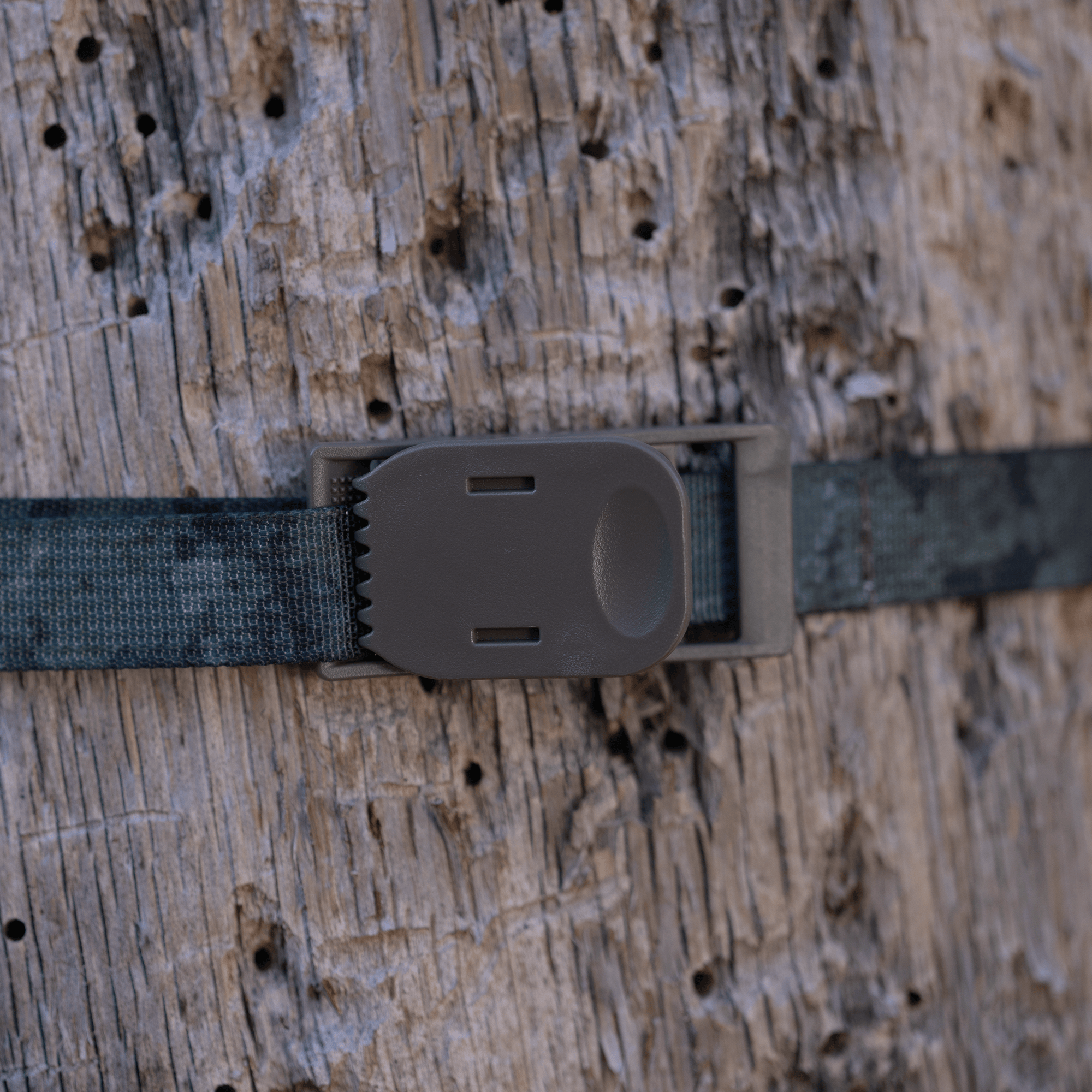 ZEISS Secacam Sangle de fixation d'arbre (Lot de 2)