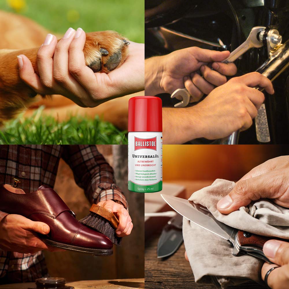 Huile Universelle Ballistol en Spray, 25 ml