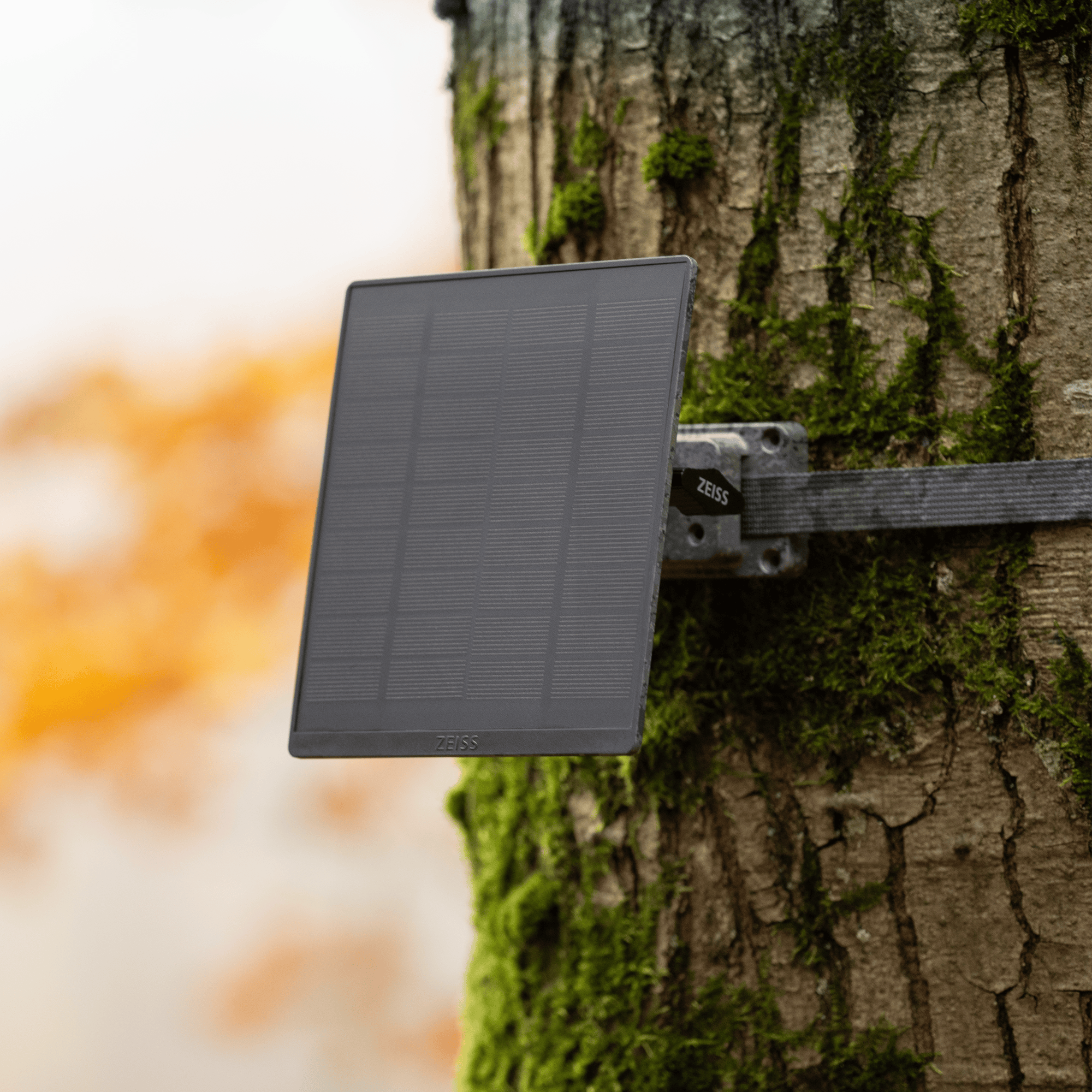 ZEISS Solar-Panel Mini