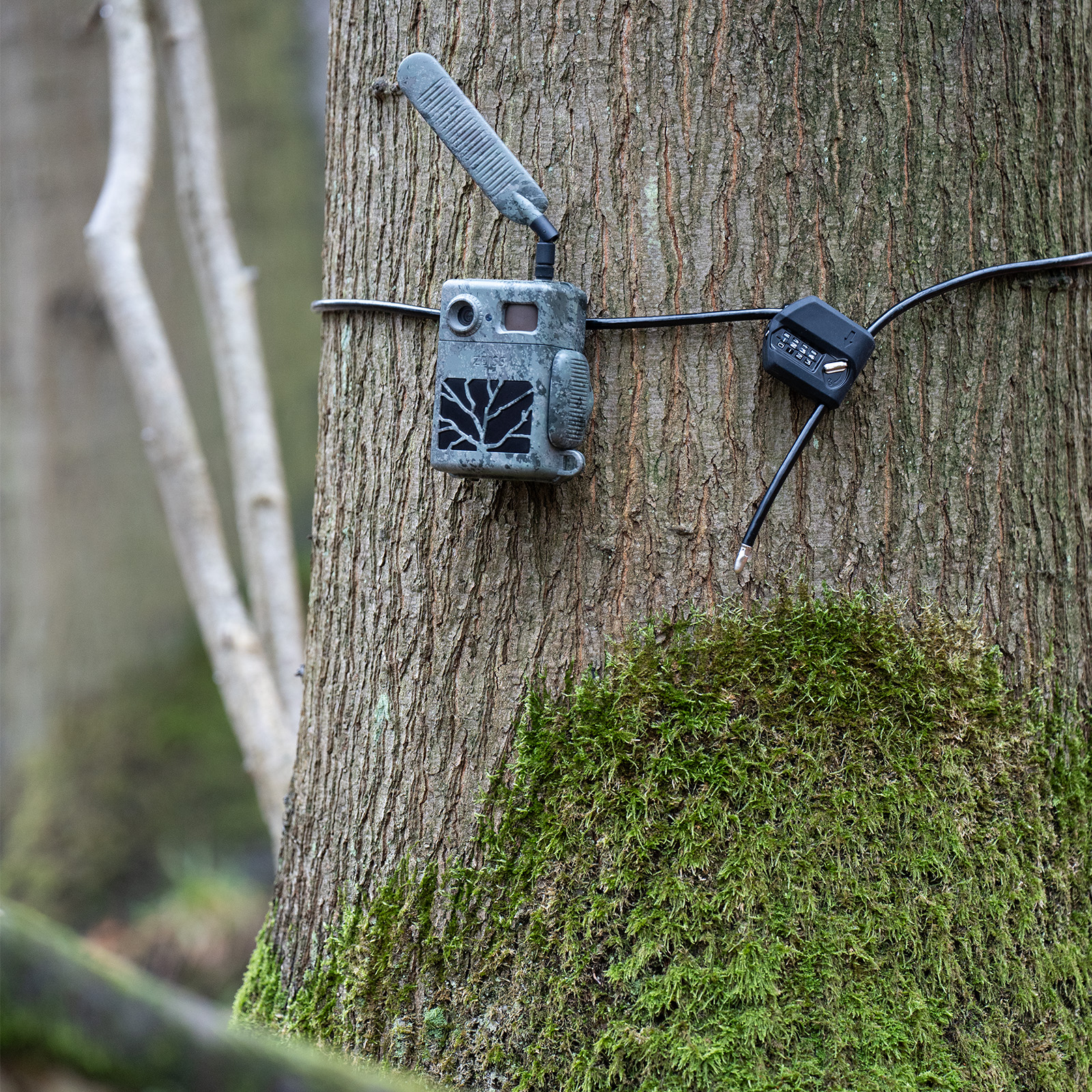 ZEISS Verrouillage de câble (avec code)