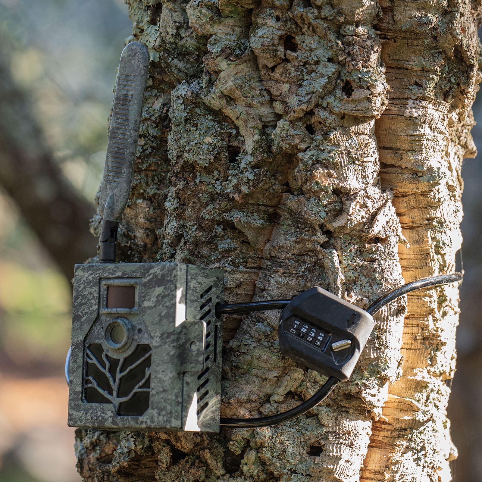 ZEISS Verrouillage de câble (avec code)