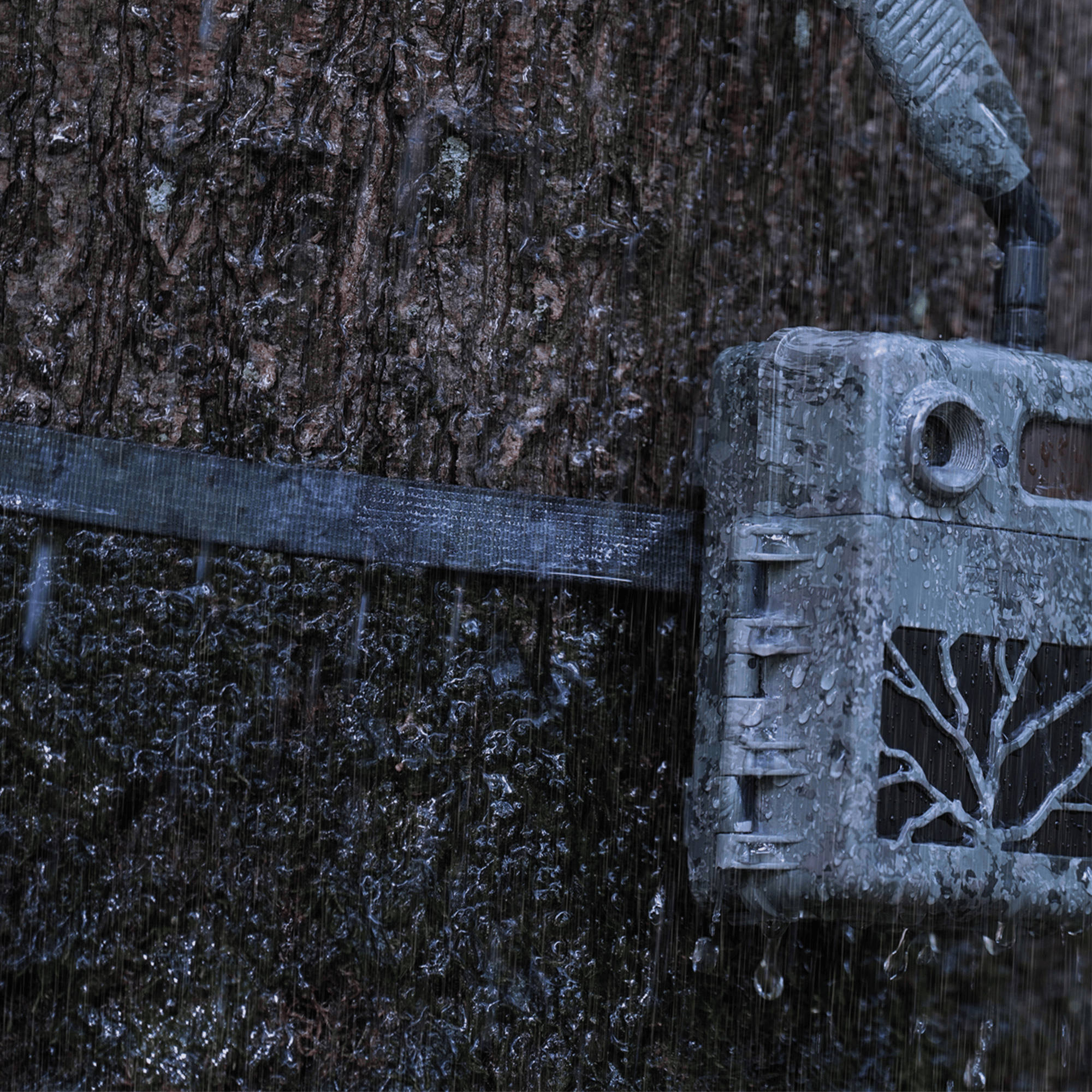 ZEISS Secacam Sangle de fixation d'arbre (Lot de 2)