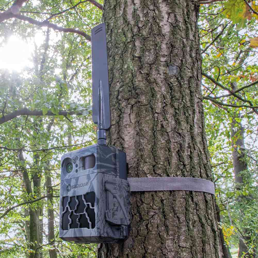 SECACAM Mounting Strip